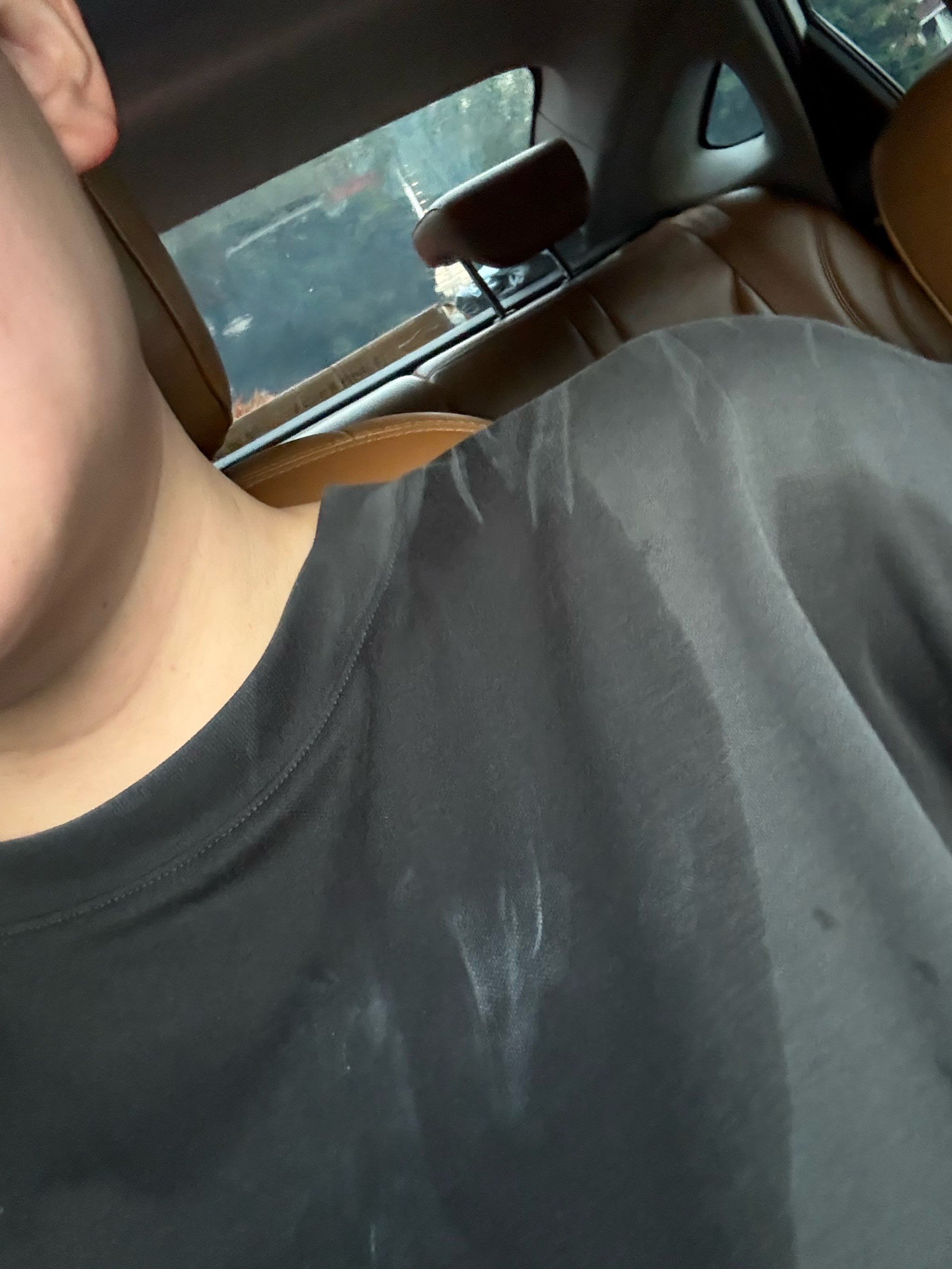 的新成员 的新成员