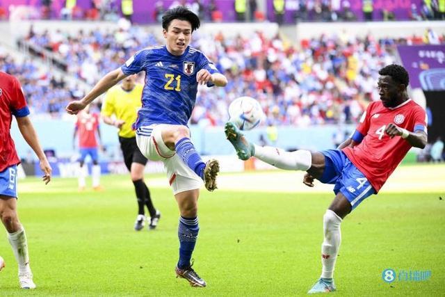 诱导对手探 诱导对手探