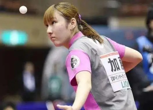 平面双版本 平面双版本